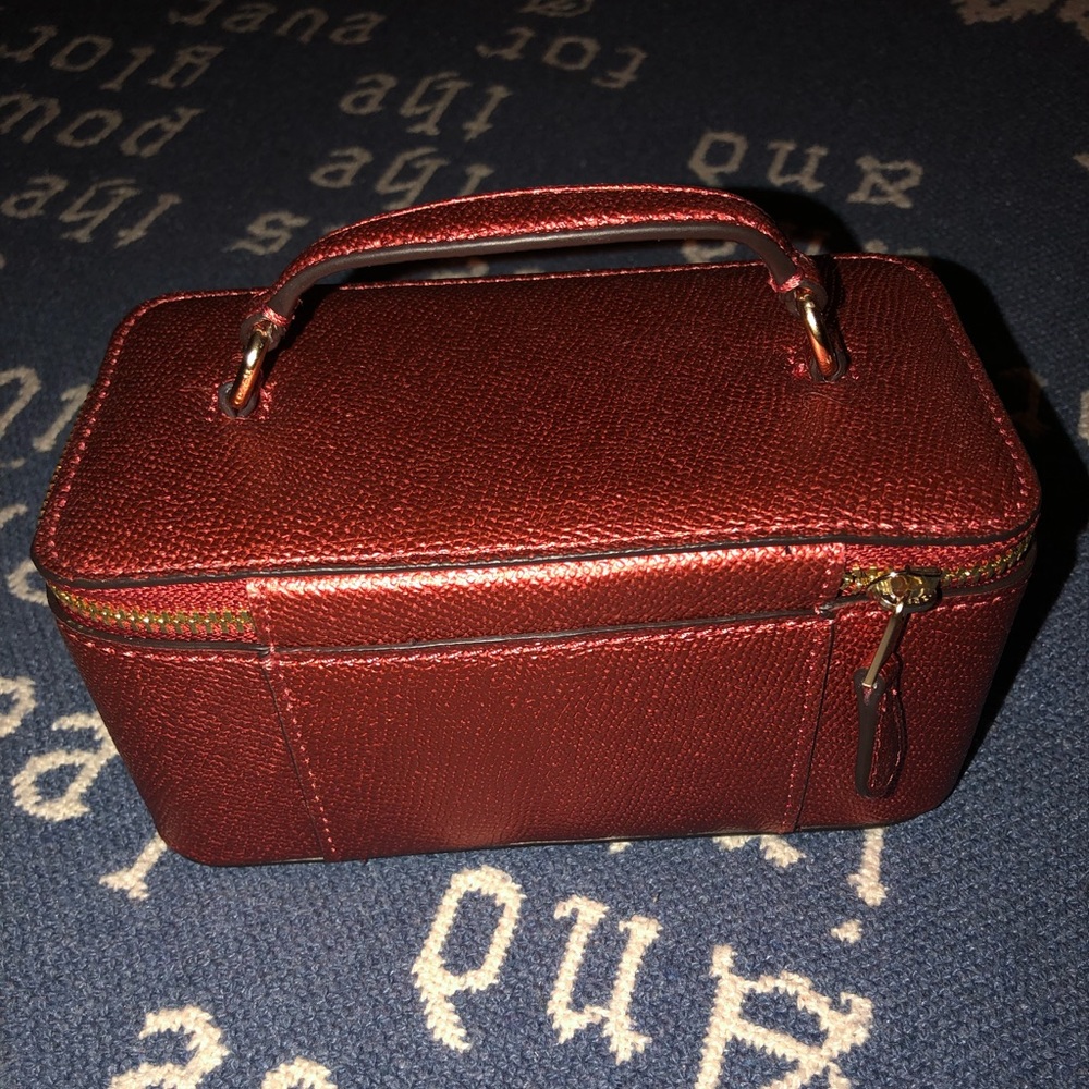 Coach Metallic Vanity Case *REPOSH* - Picture 4 of 5